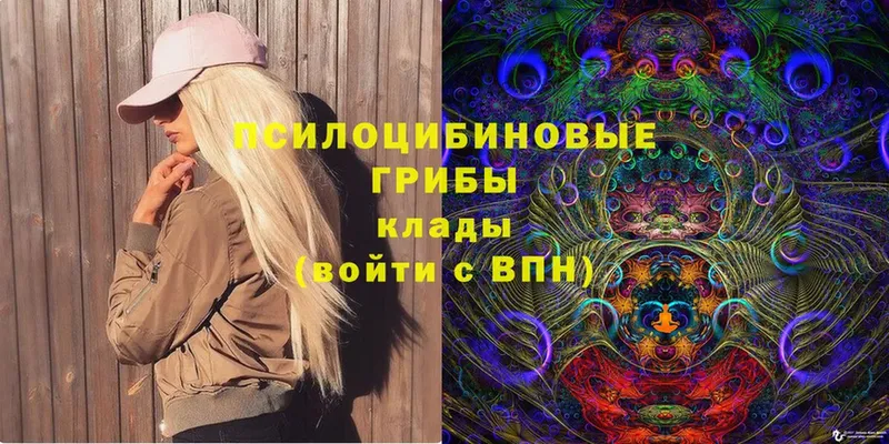 Псилоцибиновые грибы Magic Shrooms  kraken как войти  Куйбышев 